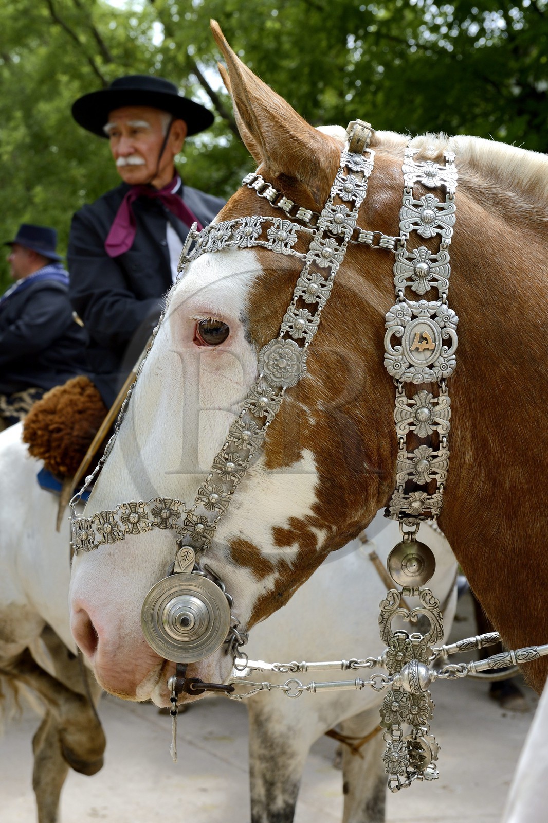 Argentina, Buenos Aires Province, San Antonio de Areco, Tradition Day festival (Dia de Tradicion), silversmith work on a silver harness used for special occasions by an estanciero (gaucho who owns a ranch)