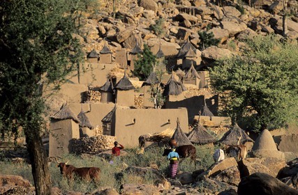 Mali, Dogon Country, Bandiagara Cliff, listed as World Heritage by UNESCO, the village of Tereli
