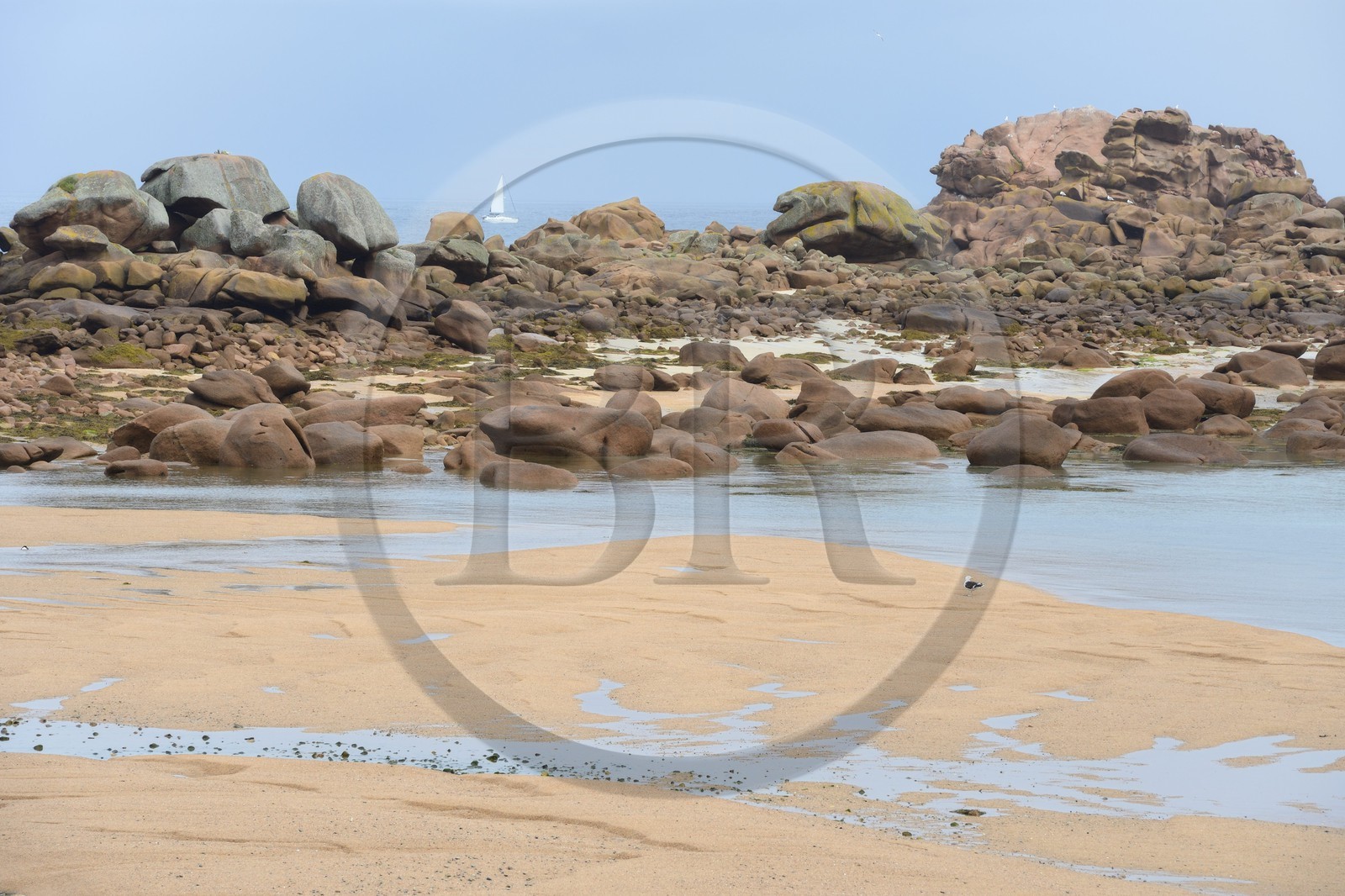 France, Côtes-d'Armor (22), Côte de Granit Rose, Trégastel, l'Ile Renote