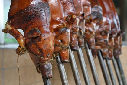 Philippines, Ile de Luzon, Manille, quartier La Loma, cochon de lait roti à la broche (lechon)