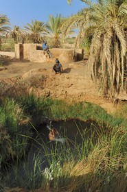 Egypte, désert libyque, oasis de Dakhla, bedouin se baignant dans une source d'eau chaude naturelle