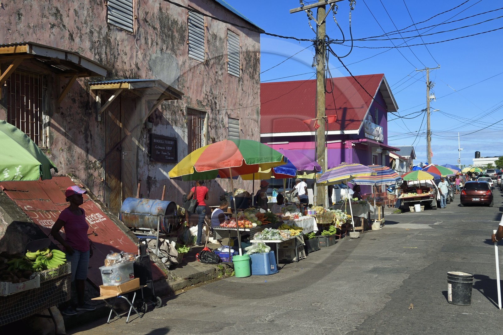 Caraïbes, Ile de la Dominique, la capitale Roseau, vente à l'étal de fruits et légumes aux abords du marché centrale