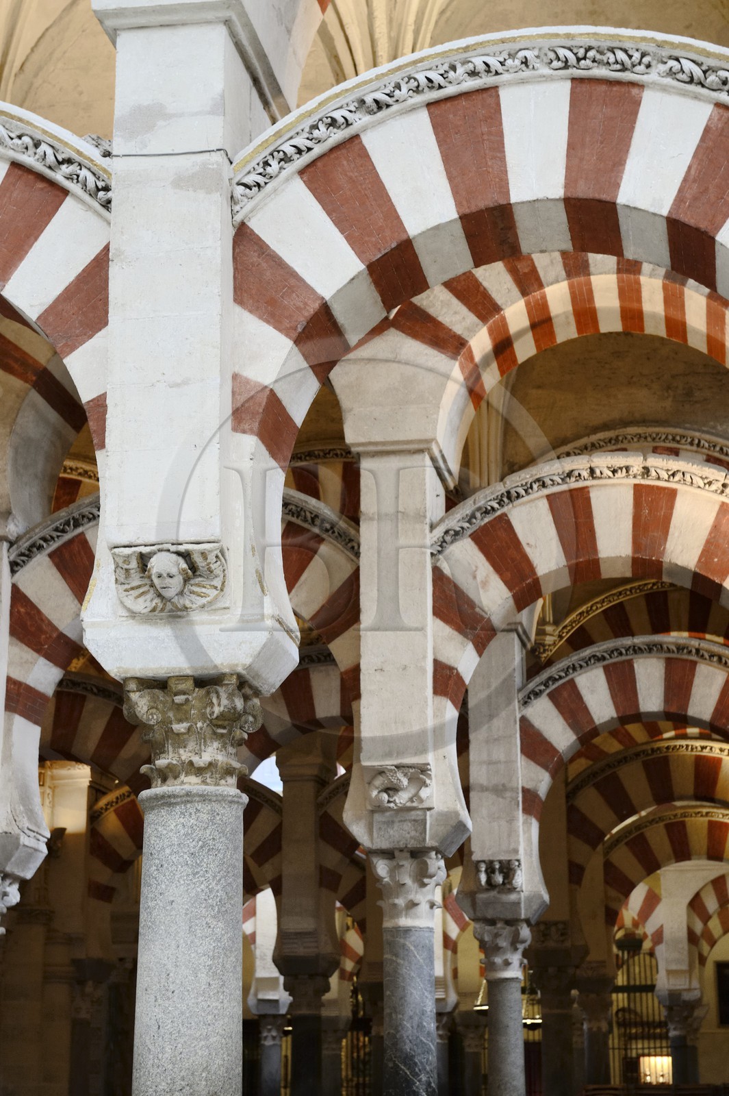 Espagne, Andalousie, Cordoue, centre historique classé Patrimoine Mondial de l'UNESCO, la Mezquita, mosquée-cathédrale, la forêt d'arcs et de colonnades illustre la monumentalité de l'Art omeyyade de Cordoue Espagne, Andalousie, Cordoue, centre historique classé Patrimoine Mondial de l'UNESCO, la Mezquita, mosquée-cathédrale, la forêt d'arcs et de colonnades illustre la monumentalité de l'Art omeyyade de Cordoue