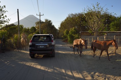 Nicaragua, Ile d'Ometepe sur le lac Nicaragua, croisement sur une piste d'un cavalier et de véhicules 4x4 et le volcan Conception (1610 m) en arrière plan