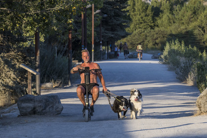 France, Hautes Alpes (05), Embrun, promeneur à trottinette électrique et ses chiens en bordure du lac