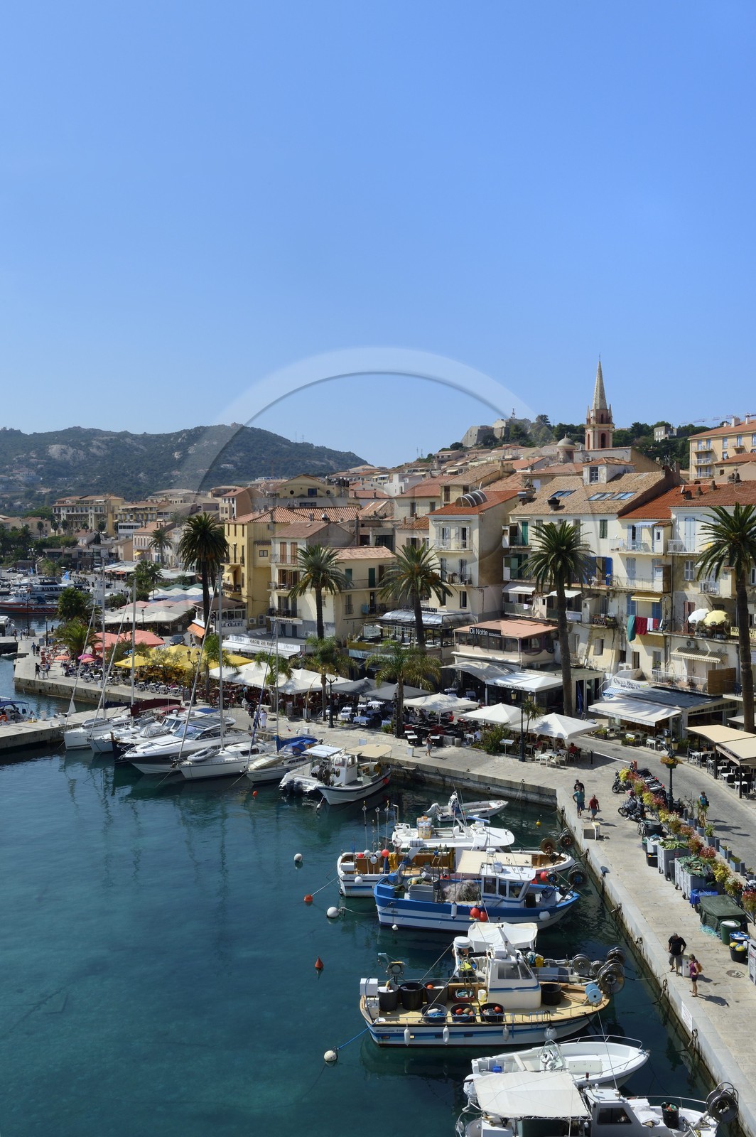 France, Haute-Corse (2B), Calvi, le vieux port et le quai Landry