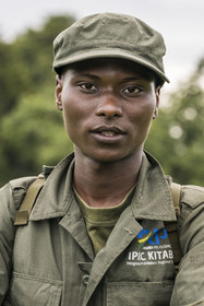 Rwanda, Province de l’Ouest, Gisakura, Parc national de Nyungwe, le pisteur Claude de African Parks dont le travail consiste à repérer les Colobes de Ruwenzori (Colobus angolensis ruwenzorii)