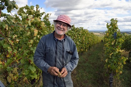 France, Haut Rhin, the Alsace Wine Route, Bergheim, Wine estate Marcel Deiss, the winegrower Jean-Michel Deiss in his vineyards