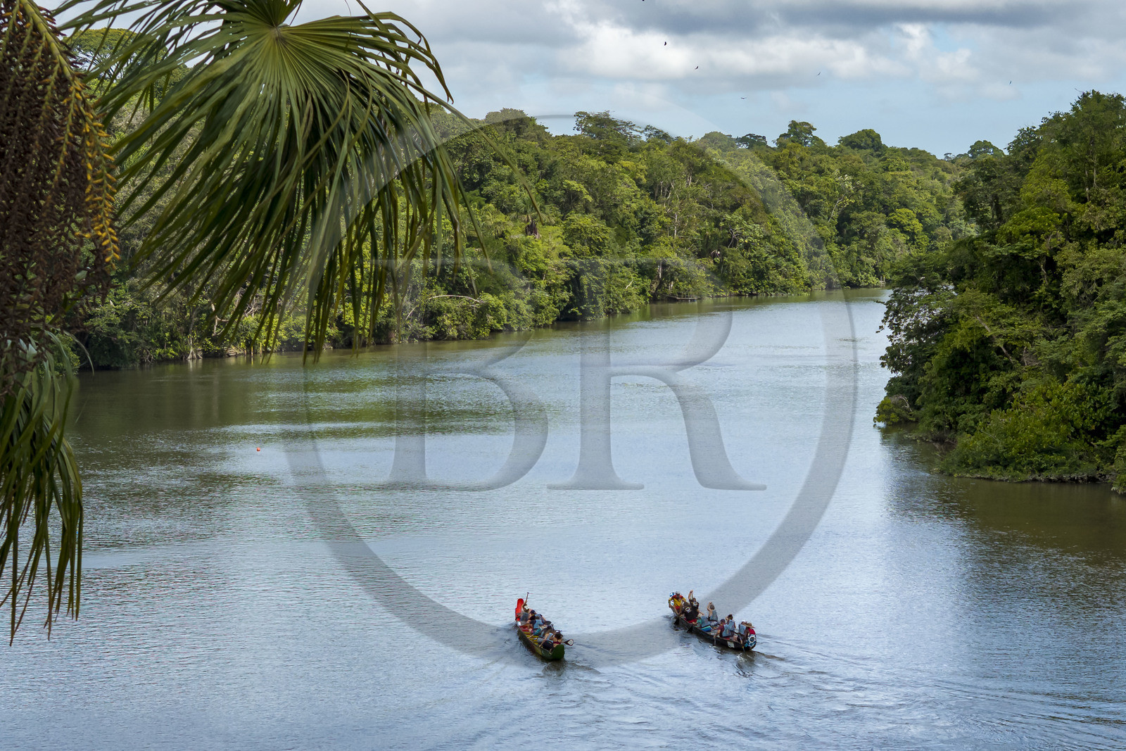 France, Guyane, Kourou, Camp Maripas, course de deux pirogues P12 (pirogue traditionnelle Guyanaise adaptée en résine) sur le fleuve Kourou (vue aérienne)