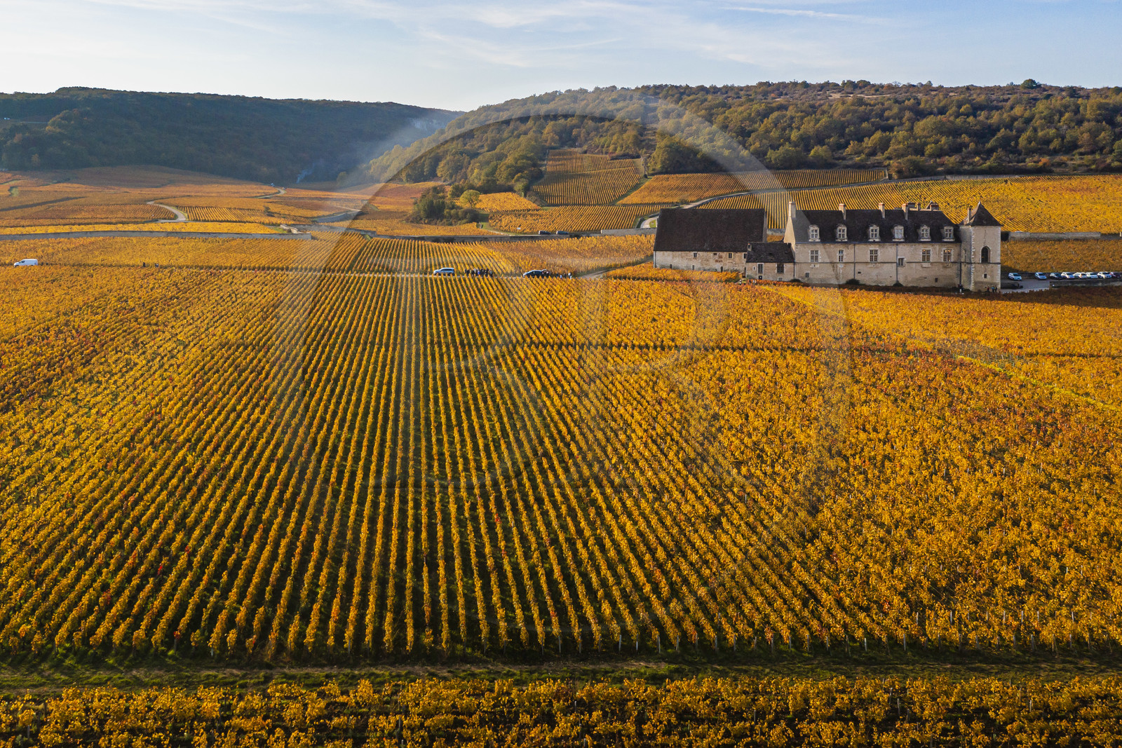 France, Côte-d'Or (21), Paysage culturel des climats de Bourgogne classés Patrimoine Mondial de l'UNESCO, Vougeot, Route des Grands Crus, le vignoble et le chateau du Clos de Vougeot (vue aérienne)