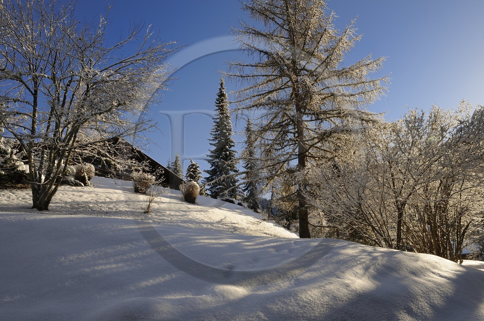 Suisse, Canton de Vaud, Villars sur Ollon, chalet sous la neige