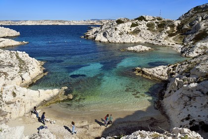 France, Bouches du Rhone, Marseille, Calanques National Park, archipelago of Frioul islands, Pomegues island, calanque de la Crine (Crine beach)