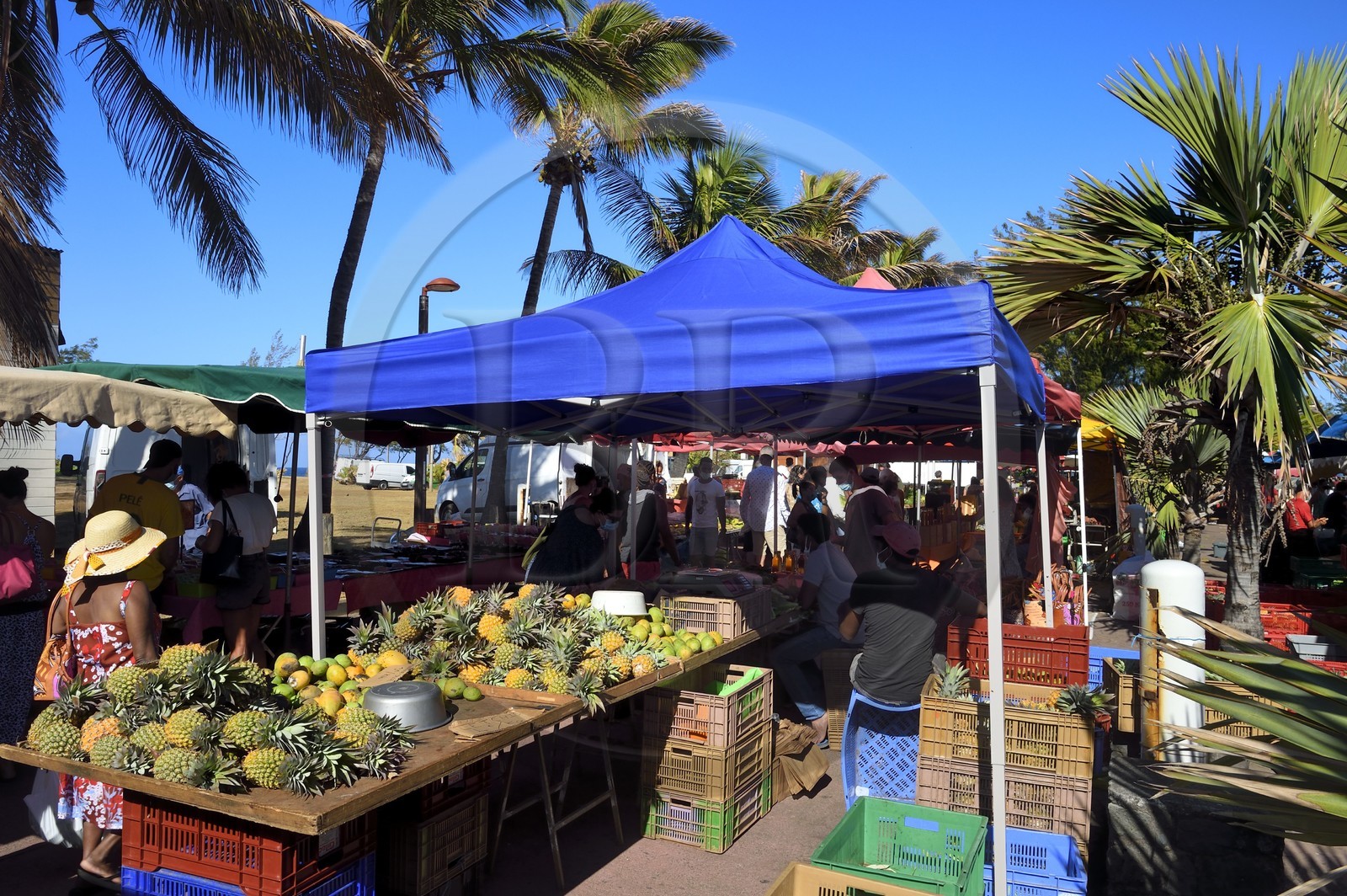 France, Ile de la Reunion, Saint-Pierre, le marché du samedi, les étals de fruits ananas