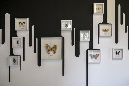 France, Loire-Atlantique (44), Saint-Jean-de-Boiseau, collection d'art contemporain Estuaire, chambres d'hotes qui sont des Chambres d'artistes au Chateau du Pé, chambre Est-il bien prudent d’envoyer des messages aux extra-terrestres ? crée par Mrzyk et Moriceau