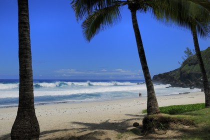 France, île de la Réunion, la côte sud, plage de Grand-Anse