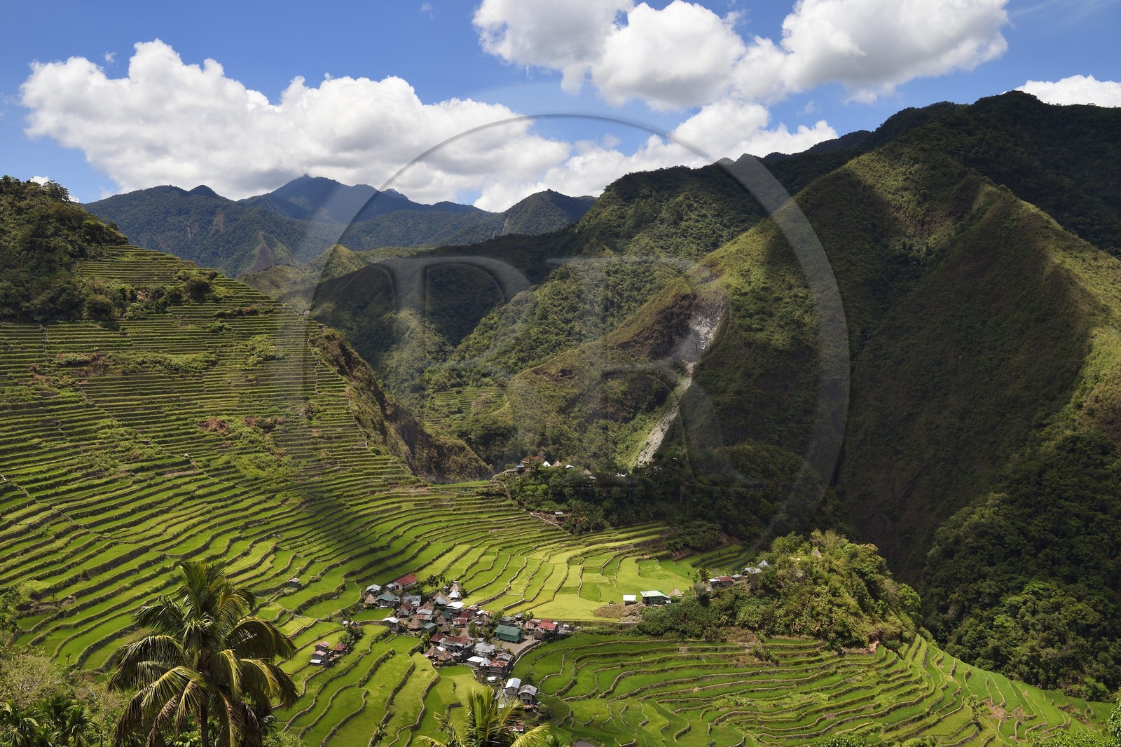 Philippines, Ifugao province, Banaue rice terraces around the village of Batad, listed as World Heritage by UNESCO, fed by an ancient irrigation system from the rainforests above the terraces
