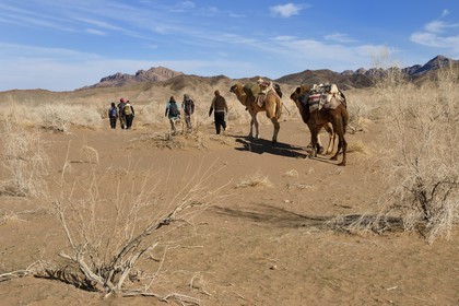 Iran, Province d'Ispahan, désert du Dasht-e Kavir, Mesr dans la région de Khur et Biabanak, caravane de dromadaires lors d'une randonnée chamelière