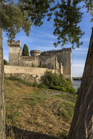 France, Bouches du Rhone, Tarascon, King René's castle dating from the 15th century on the banks of the Rhone