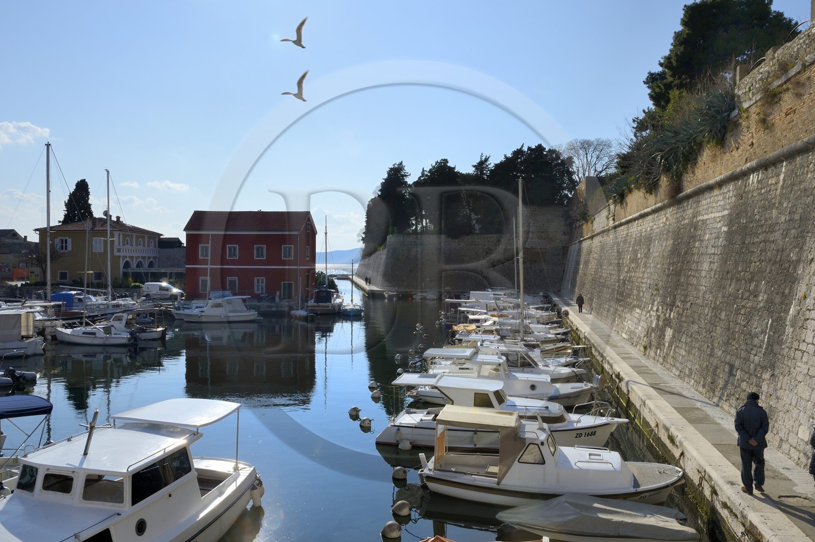 Croatie, Dalmatie, côte dalmate, Zadar, le port de Fosa