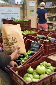France, Var, Iles d'Hyeres, Parc National de Port Cros (National park of Port Cros), Porquerolles island, Les Jardins de Porquerolles, a solidarity-based organic producer