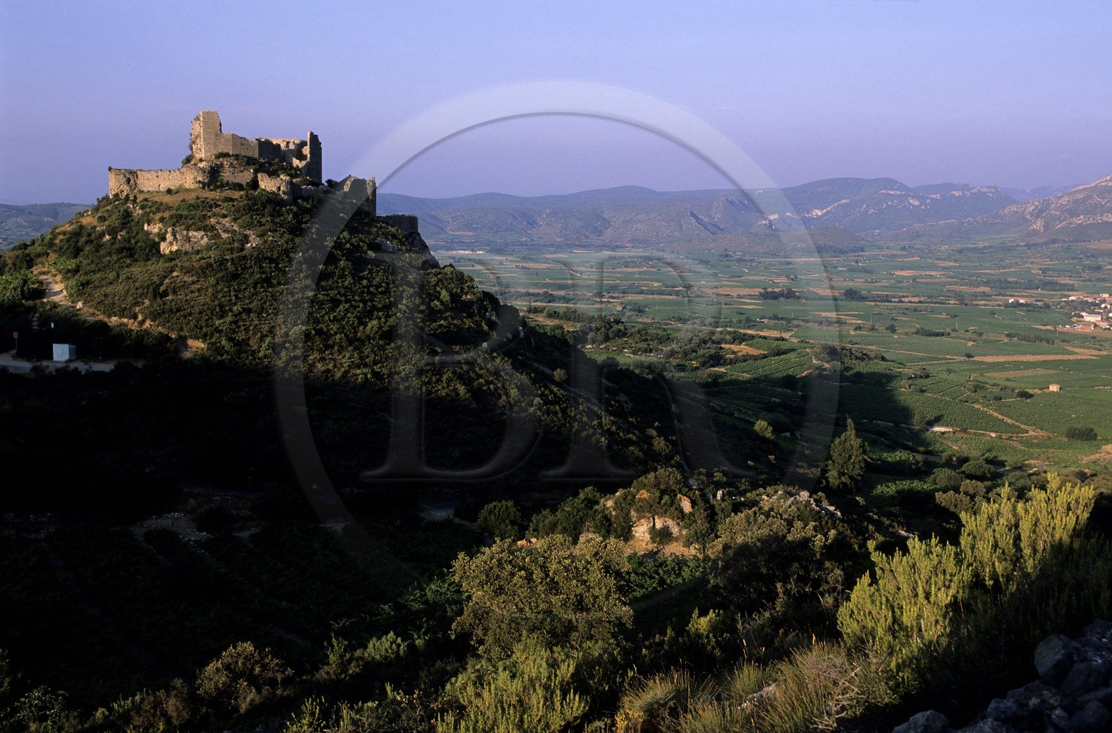 France, Aude (11), ruines du château cathare d'Aguillar dominant les vignes de Tuchan dans les Corbières