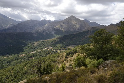 France, Haute Corse, Balagne, the mountains bordering the Giussani seen from the Bocca di a Battaglia and the Tartagine forest climbing towards the Monte Padro