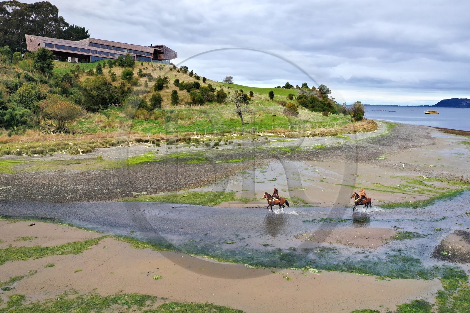 Chili, région de Los Lagos, Ile de Chiloé, district de Castro, péninsule de Rilan, hotel Tierra Chiloé et cavaliers dans l'estuaire (vue aérienne)