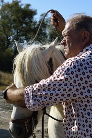 France, Bouches du Rhone, Parc naturel regional de Camargue (Regional Natural Park of Camargue), around Malagroy pond, manadier Jacques Mailhan, Jacques Mailhan, breeder of Camargue horses and bulls