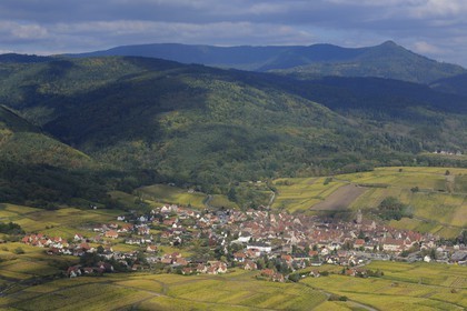 France, Haut Rhin, Riquewihr and its vineyard at the bottom of Vosges Massif (aerial view)