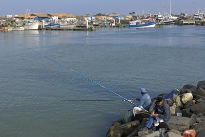 France, Charente-Maritime (17), Ile d'Oléron, port de la Cotinière, pêcheurs