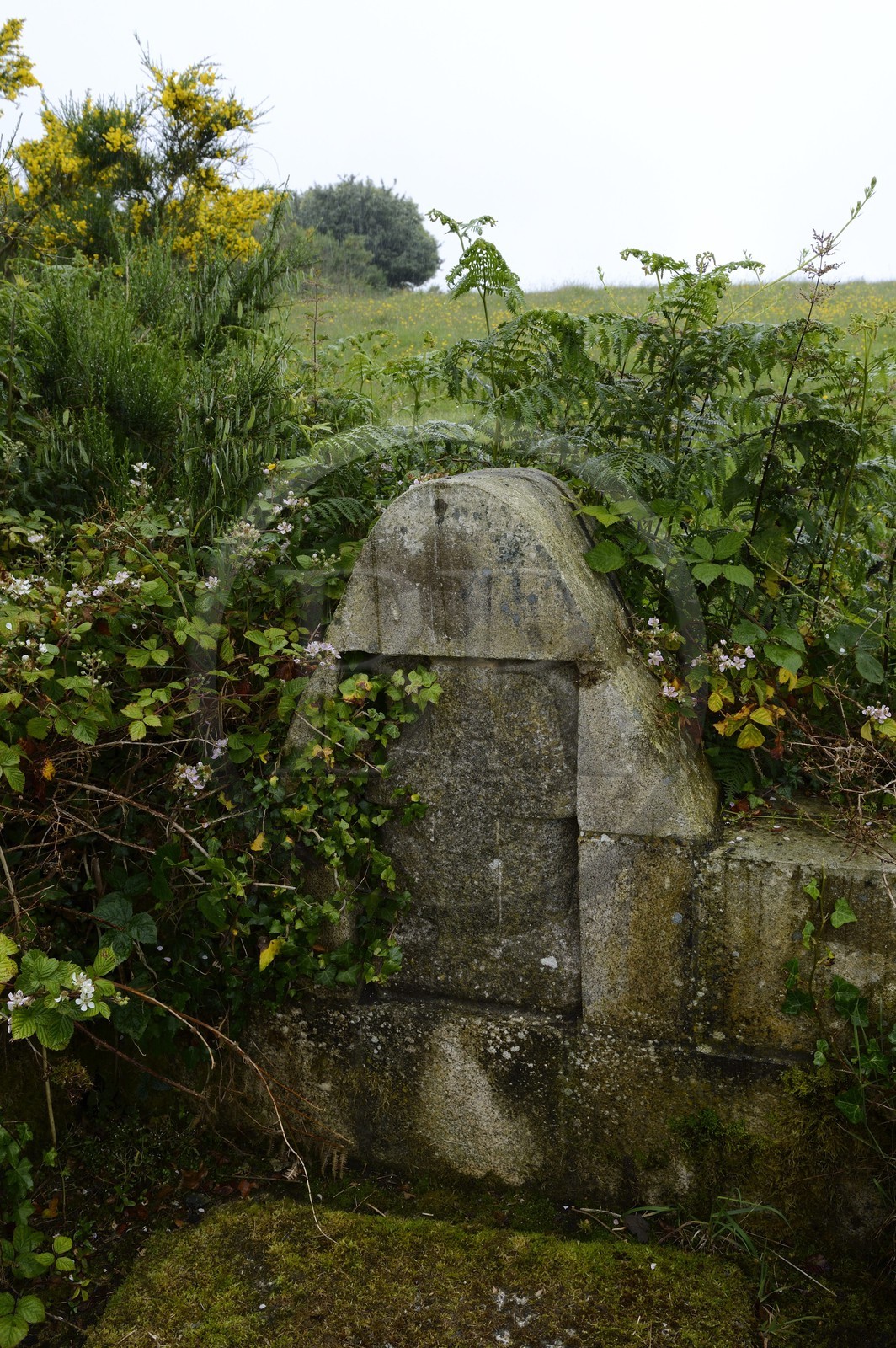France, Côtes-d'Armor (22), fontaine sous la chapelle Saint-Hervé au sommet du Menez Bré