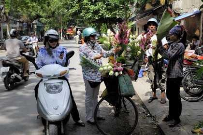 Vietnam, Hanoï, vieille ville, vendeur de fleurs de lotus à vélo