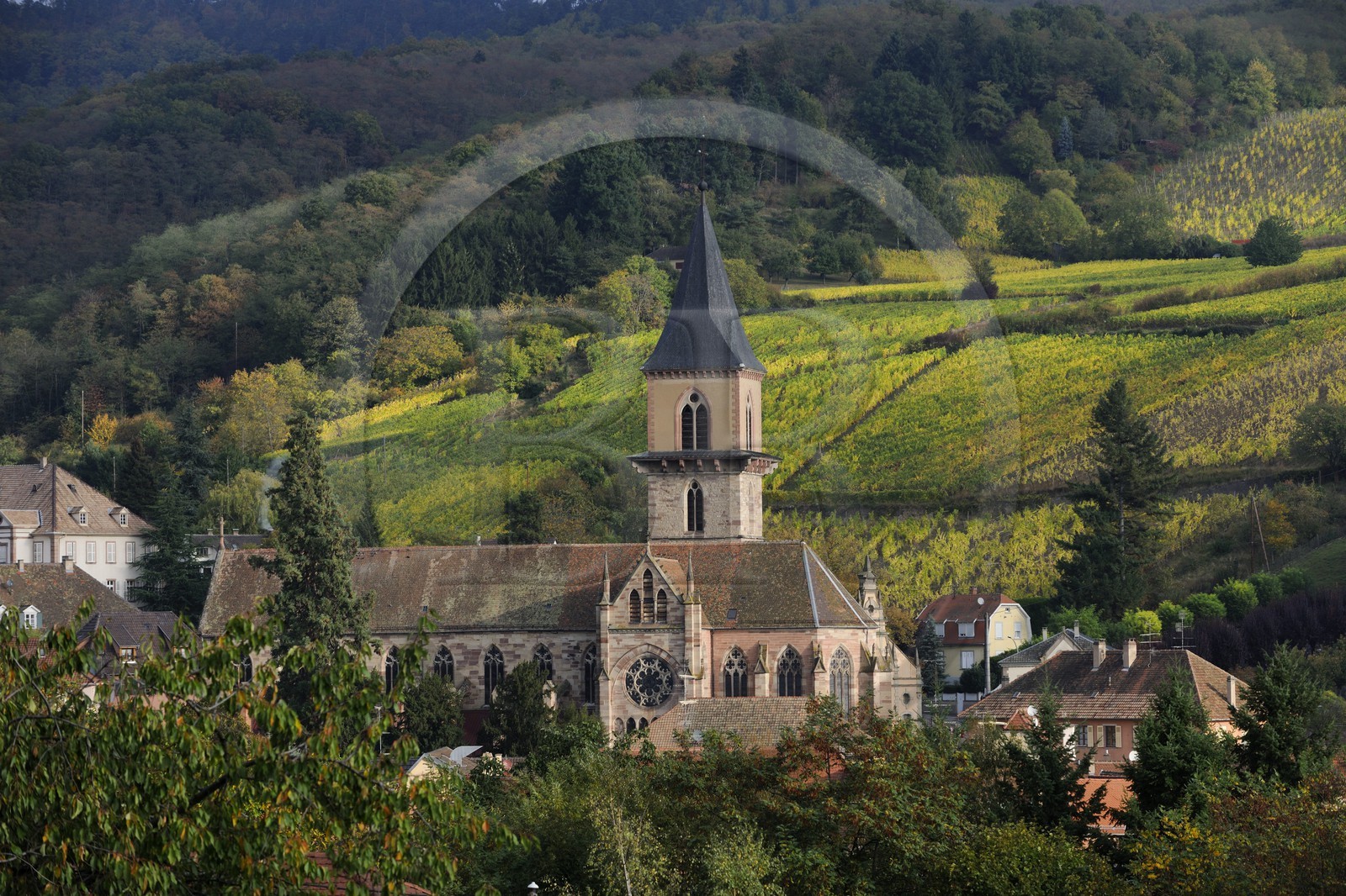 France, Haut-Rhin (68), Ribeauvillé