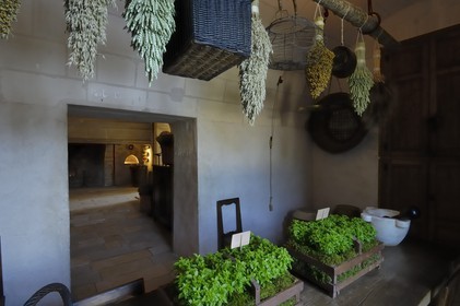 France, Indre et Loire, Chateau de Chenonceau, the kitchens