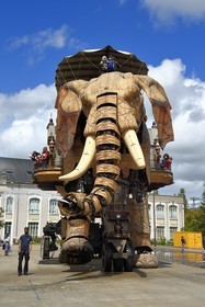 France, Loire-Atlantique, Nantes, Les Machines de l'Ile, an artistic project created by François Delaroziere and Pierre Orefice, the Big Elephant and the hangars of the former shipyards in the background