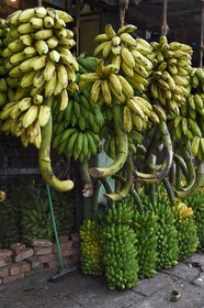 Sri Lanka, province de l'ouest, district de Colombo, Colombo, le marché de fruits et légumes Manning dans le quartier de Pettah