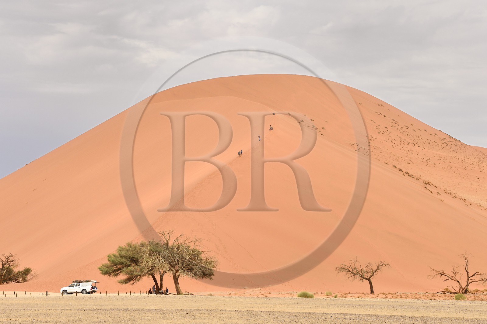 Namibie, région d'Hardap, désert du Namib, parc national du Namib-Naukluft, Erg du Namib classé Patrimoine Mondial de l'UNESCO, dunes de Sossusvlei, randonneurs sur la dune 45