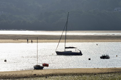 Spain, Basque Country, Biscay Province, Gernika-Lumo region, Urdaibai estuary Biosphere Reserve, estuary of the Oka River at low tide south of Mundaka, small anchorage of Laida
