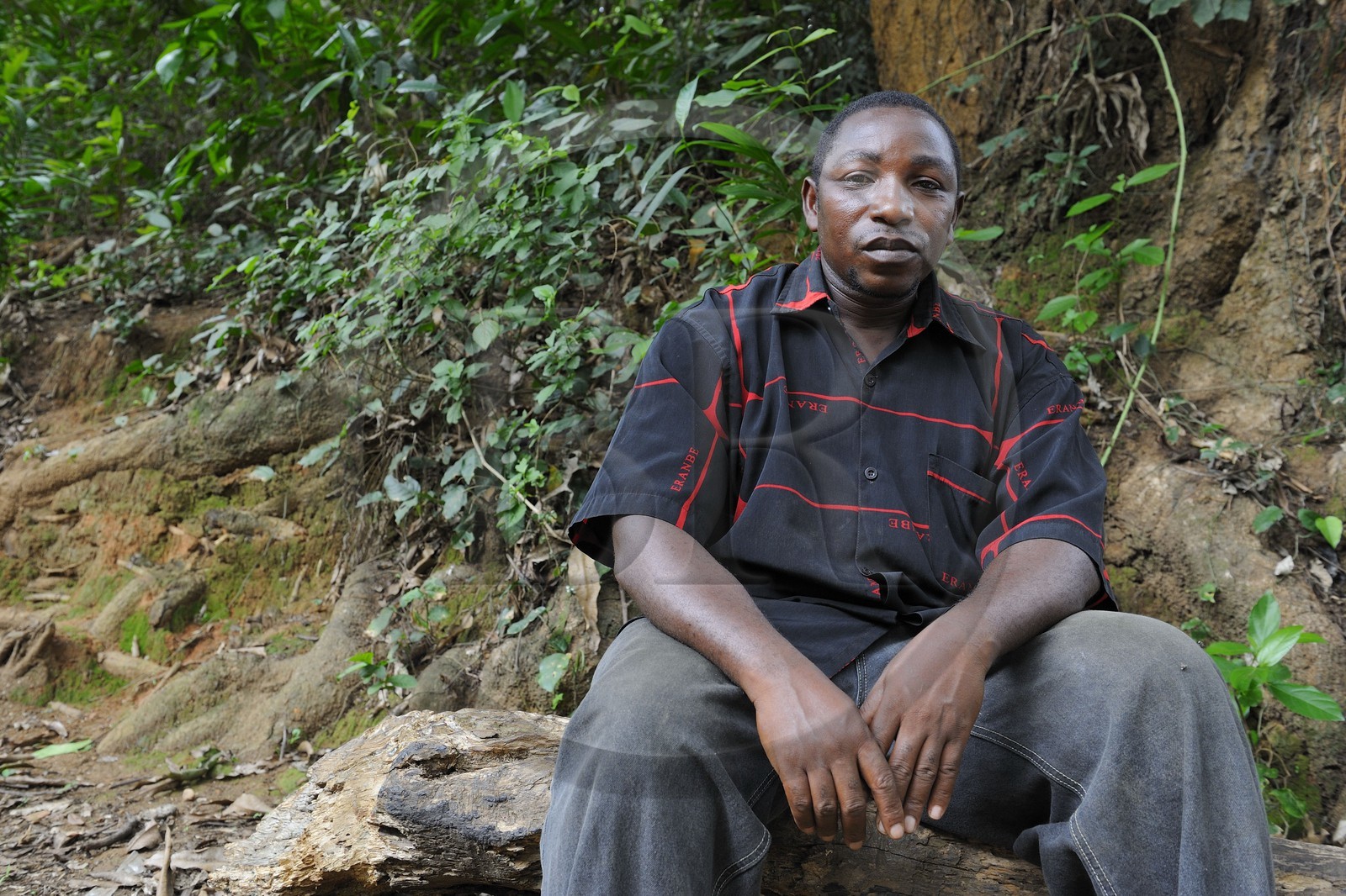 Tanzanie, région de Morogoro, les Monts Uluguru, médecin traditionel