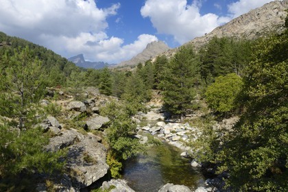 France, Haute-Corse (2B), région du Niolu (Niolo), la rivière Calasima et la montagne du Paglia Orba en forme d’aileron de requin en arrière plan