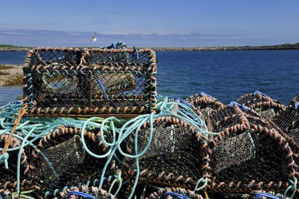 Royaume-Uni, Ecosse, Iles Orcades, Ile de Burray, casier de pêche sur le port