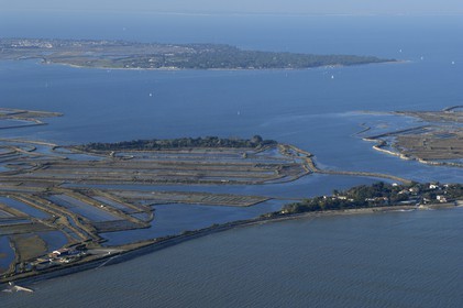 France, Charente-Maritime (17), ile de Ré, le Fier d'Ars et marais salants (vue aérienne)
