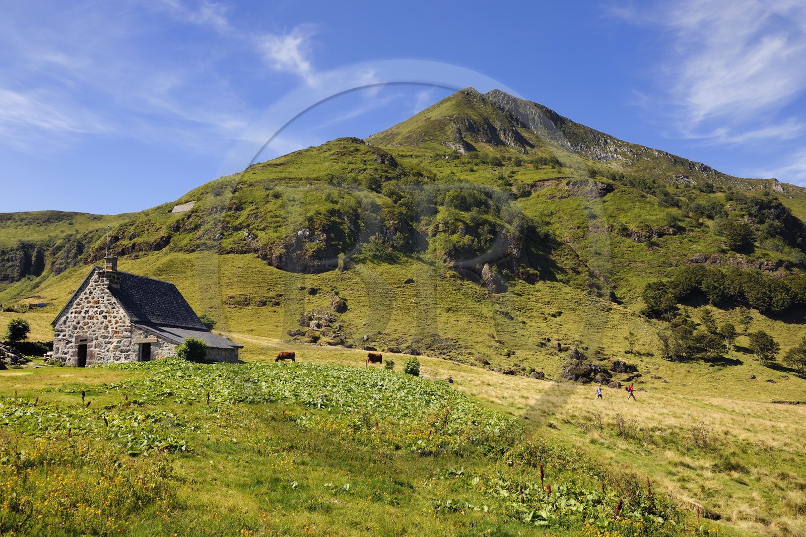 France, Cantal (15), monts du Cantal, Parc Naturel Régional des Volcans d' Auvergne, le buron d' Eylac et la montagne du Puy-Mary (1783m)