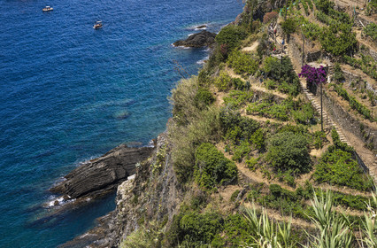 Italy, Liguria, Cinque Terre National Park listed as World Heritage by UNESCO, village of Vernazza, hikers on the GR 592 coastal path passing through the terraced vineyard between Monterosso and Vernazza