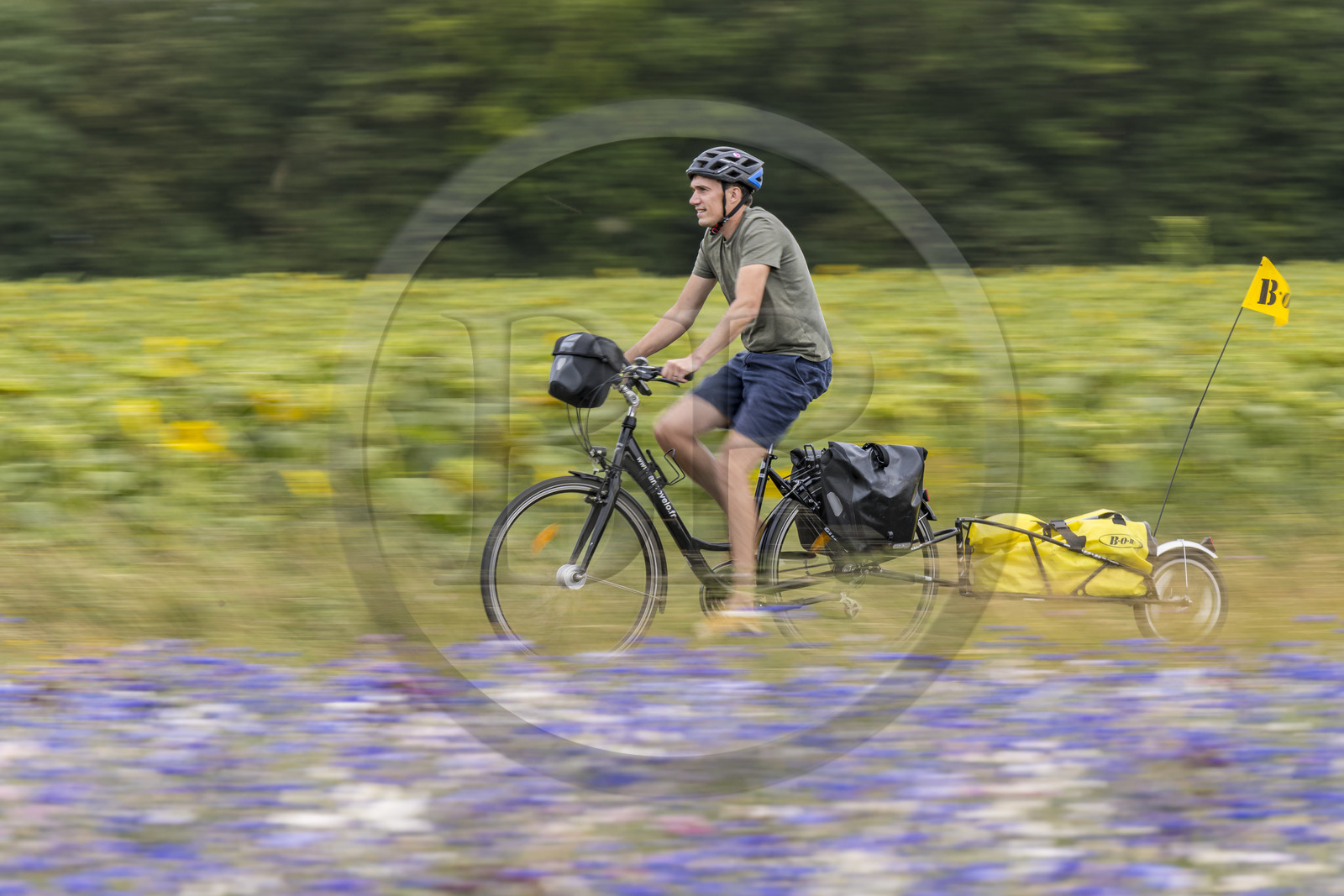 France, Maine-et-Loire (49), vallée de la Loire classée au Patrimoine Mondial par l'UNESCO, Saumur vers Saint-Hilaire, randonnée à bicyclette avec une remorque transportant le matériel de camping