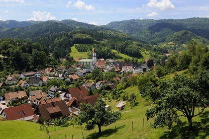 Germany, Black Forest, Schwarzwald, Baden-Württemberg, Ottenhöffen