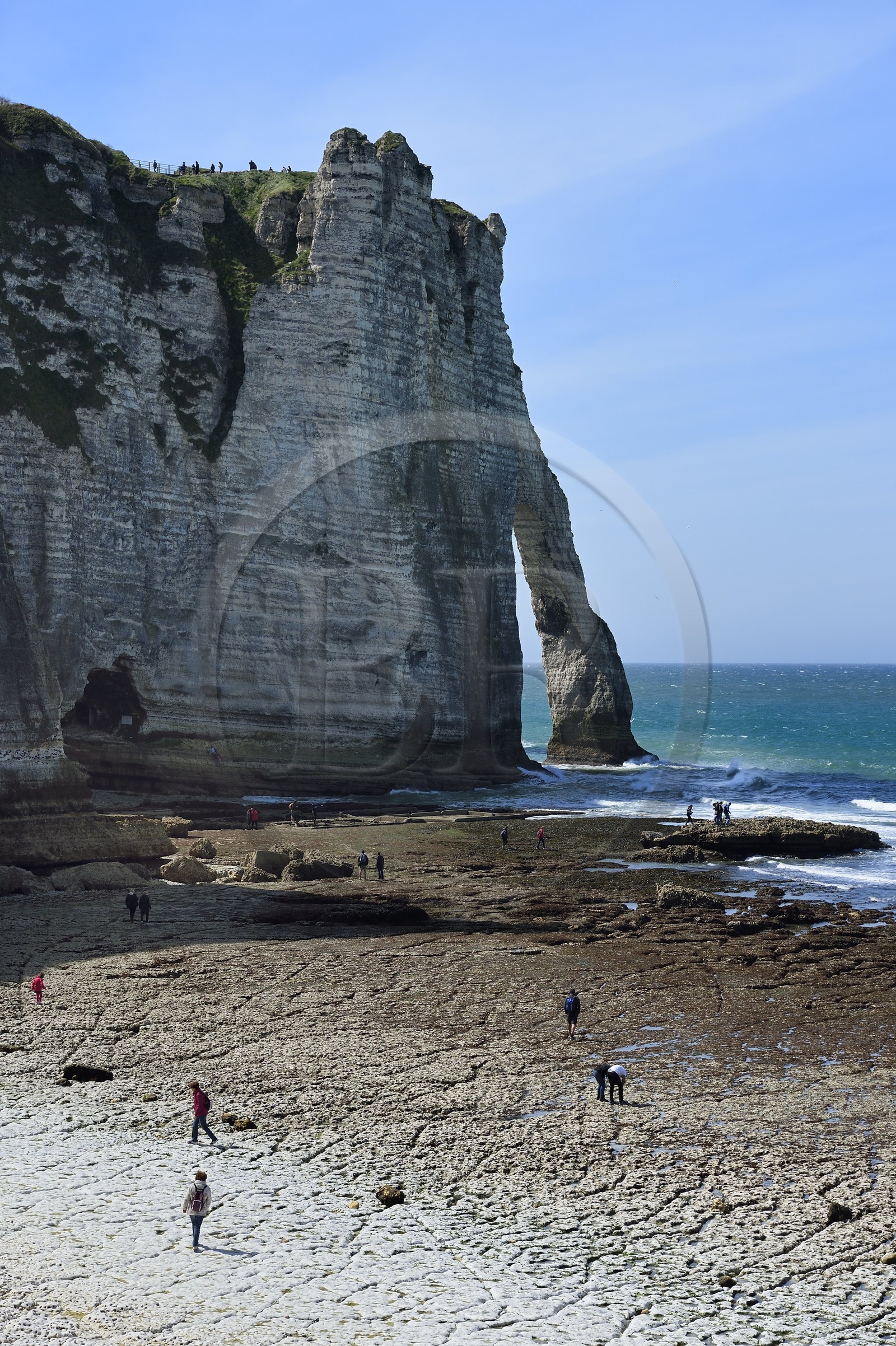 France, Seine-Maritime (76), Pays de Caux, Côte d'Albâtre, Etretat, l'arche de la falaise d'Aval et la plage de la ville