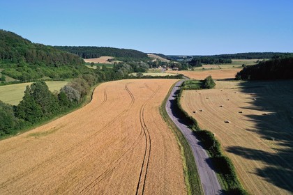 France, Meuse (55), Parc r