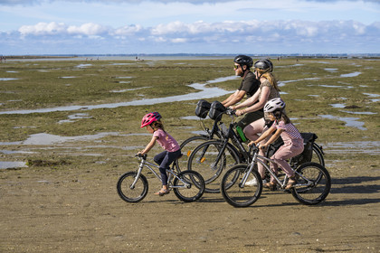 France, Vendée (85), île de Noirmoutier, Barbatre, famille de cyclistes sur l'estran en bordure du passage du Gois, chaussée submersible qui relie l'île au continent à marrée basse