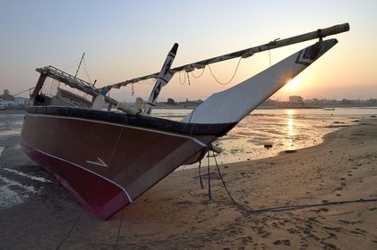 Sultanat d'Oman, gouvernorat de Ash Sharqiyah, ville et port de Sour, le vieux quartier de pêcheurs de Al Ayjah, boutre sur la plage à marée basse